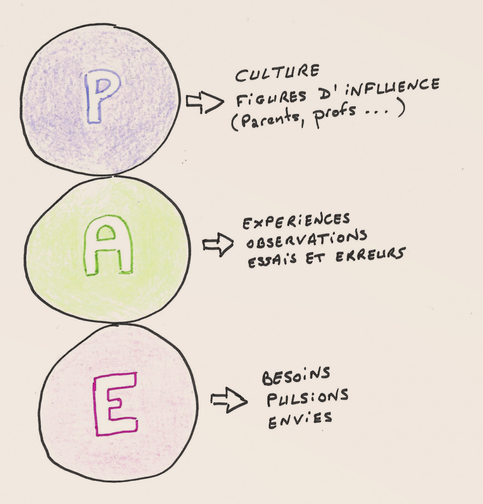 Les états du Moi adaptés aux organisations