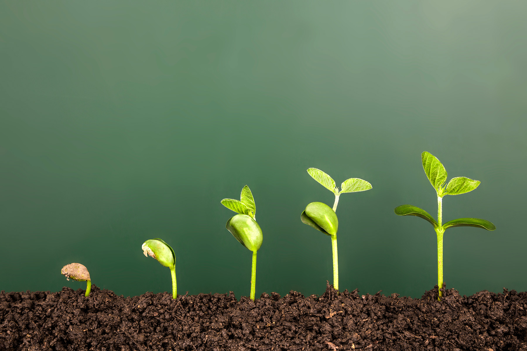Bright Up Coaching Professionnel Et Conseils En Entreprise Bright Up Coaching Professionnel Et Conseils En Entreprise